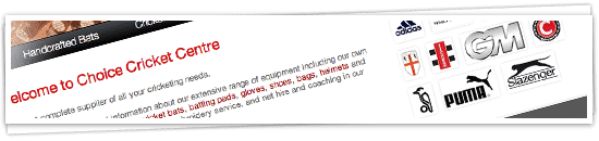 Choice Cricket website screenshot